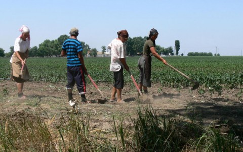 poză simbol