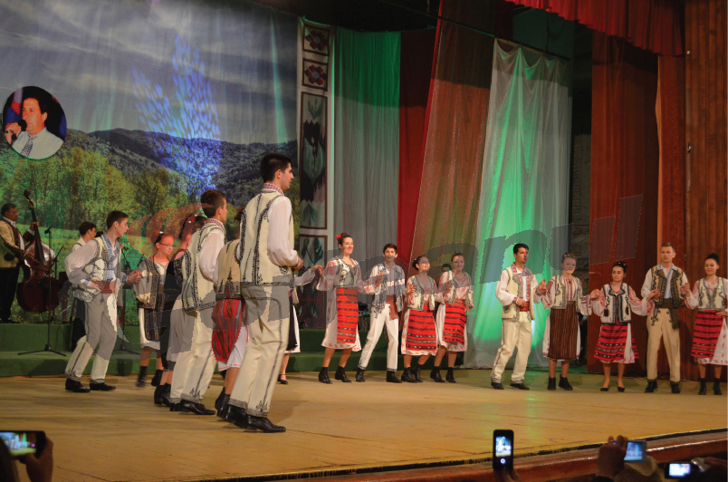 liviu dafinescu (10)