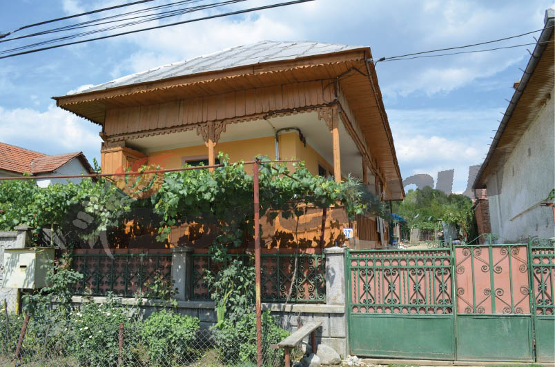 sinistrati rasova (4)