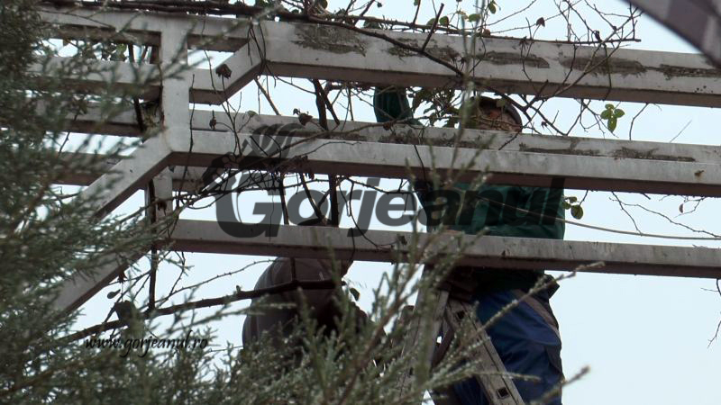 amenajare spatii verzi (5)