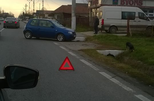 14947897_1341962829197041_2730397150759768302_n