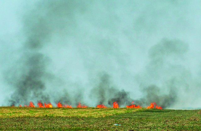 Cercetat după ce a distrus viile vecinilor incendiu