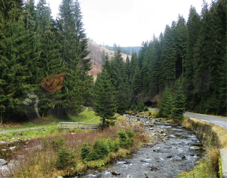 „Se-ntoarnă oiştea vremii”