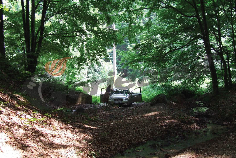 ATITUDINI ESTIVALE – “Credincioşii” petrecăreţi