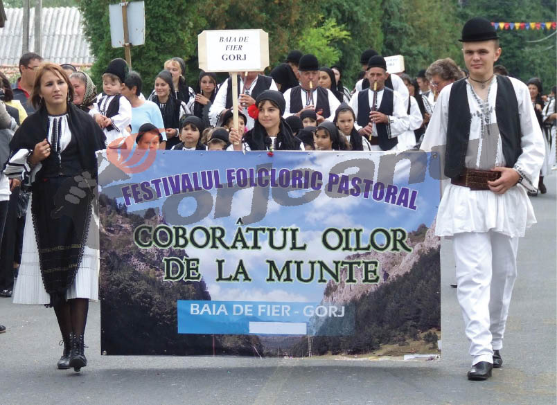 LA MIJLOC DE RĂPCIUNE – Coboară oile de la munte