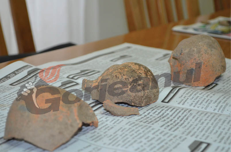 Noi descoperiri arheologice în zona DN 66