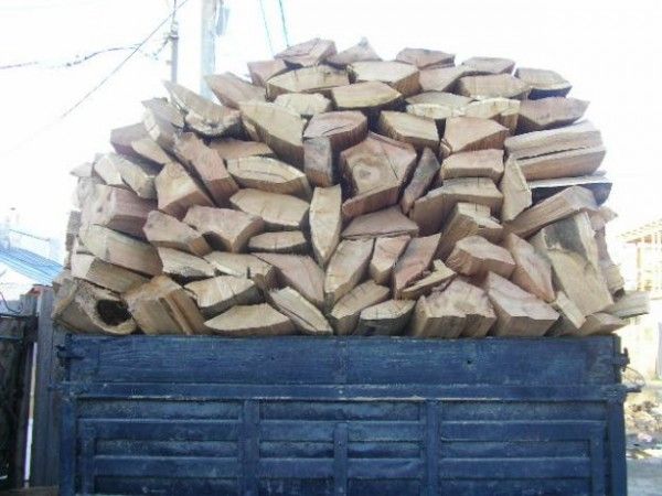 Prinşi la furat de lemne