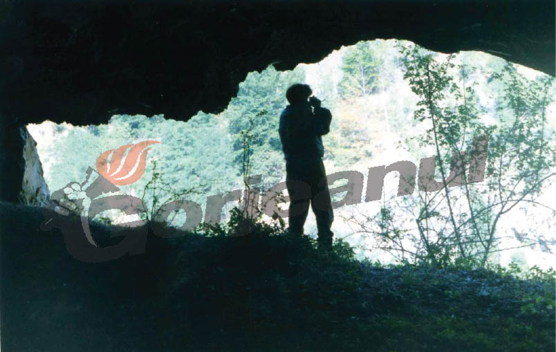 “Oltenia eterna Terra Nova” – În umbra Kogaionului