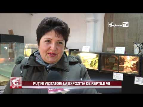 PUȚINI VIZITATORI LA EXPOZIȚIA DE REPTILE VII