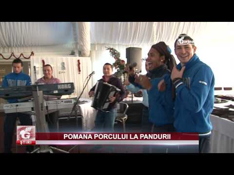 POMANA PORCULUI LA PANDURII