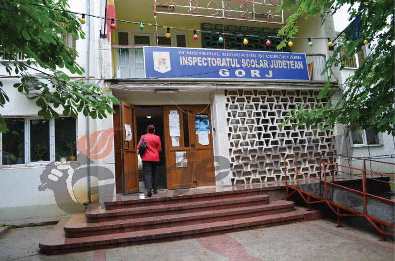 Noi experţi în educaţie