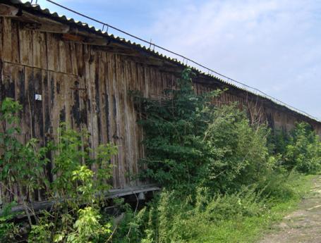 Însemnări de scriitor – Amintiri despre Lagărul Târgu-Jiu(1939-1941)
