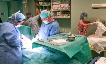 Medicii gorjeni dau asigurări că greva lor nu va afecta cetăţenii