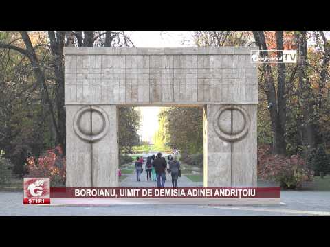 BOROIANU, UIMIT DE DEMISIA ADINEI ANDRIȚOIU