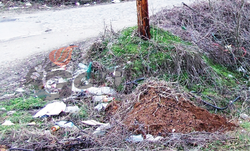 Unde Jiul se uneşte cu Tismana – “Primăvara, muma noastră” nu ia mizeria de pe coastă