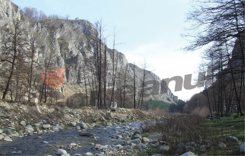 Peştera Muierilor trebuie ecologizată