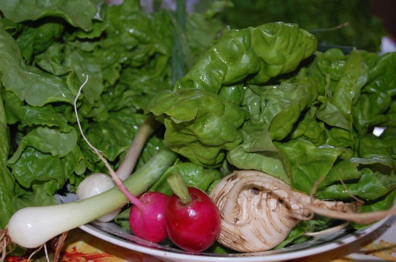 Viaţa sănătoasă – Remedii naturale pentru tranziția iarnă – primăvară