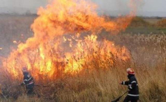 13 hectare de teren, afectate de incendii de vegetaţie uscată