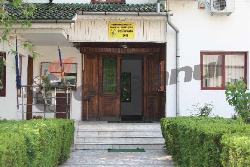 Furnizori de la Buzău, şi în acest an pentru Direcţia Silvică Gorj