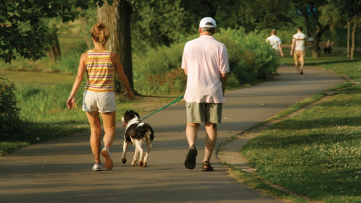 Proprietarii câinilor fără microcip din Târgu-Jiu riscă amenzi usturătoare