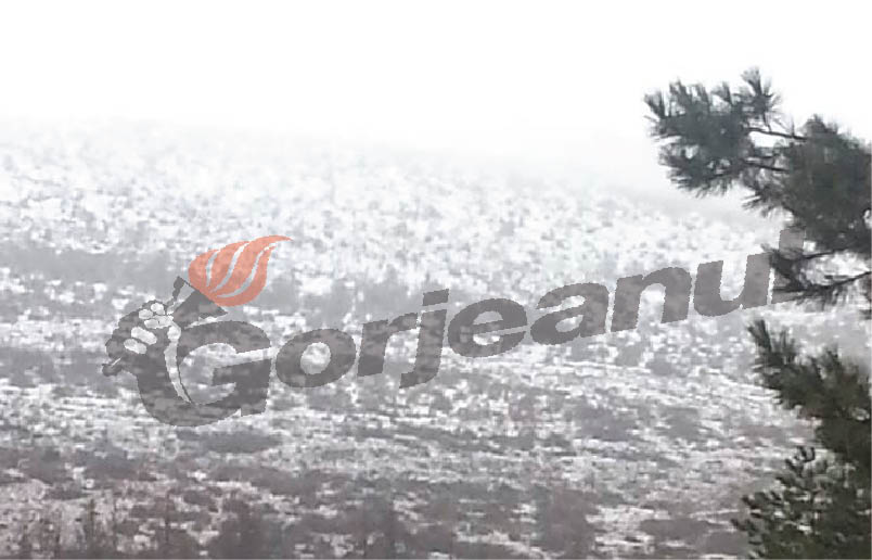 Peisaj de basm la Spitalul de Pneumoftiziologie