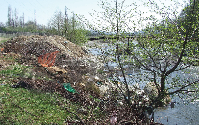 Când subalternii lui Troacă dorm, gunoaiele se înmulţesc pe Motru-n sus