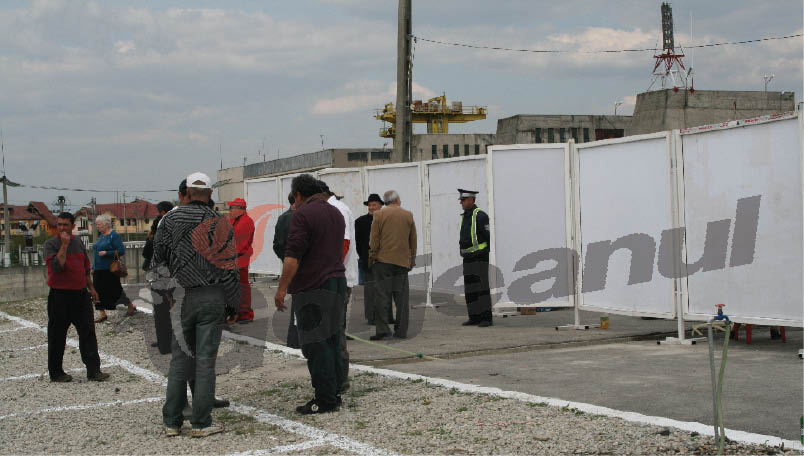 Târgujienii îşi pot cumpăra miei din Piaţa Litovoi