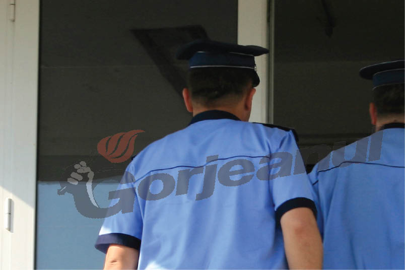 Poliţistul Honcioiu de la IGPR, acuzat că a ocupat un teren ilegal pentru soacra sa