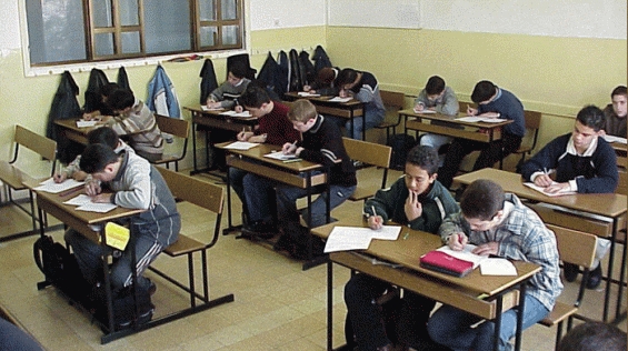 Menţiuni speciale la Olimpiada „Ştiinţele Pământului”