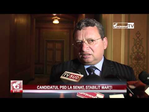 CANDIDATUL PSD LA SENAT, STABILIT MARȚI