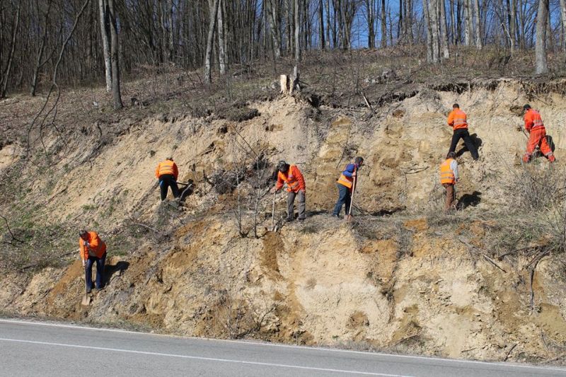 Cârstoc a prezentat rezultatele acţiunii de împădurire