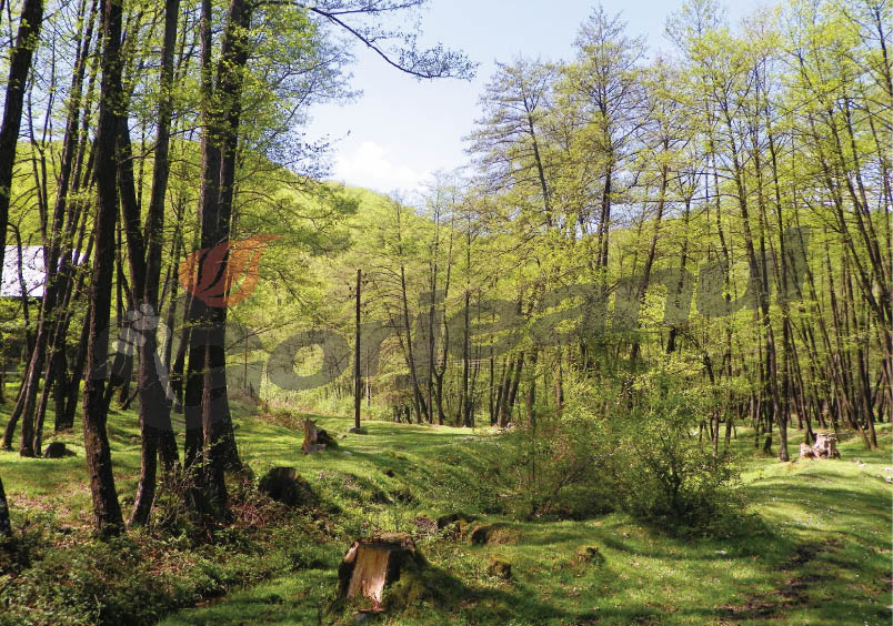 În debutul sezonului turistic – “La peşteră” este curat