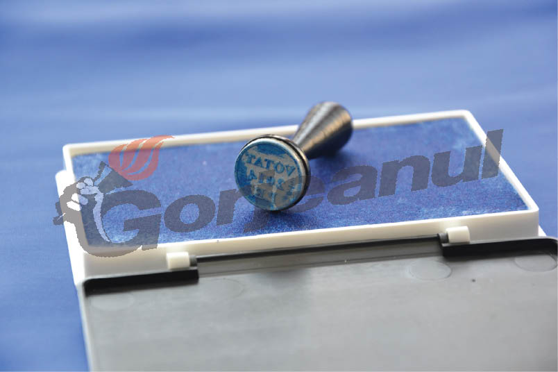 PSD învingător în Gorj şi la parţiale şi la europarlamentare