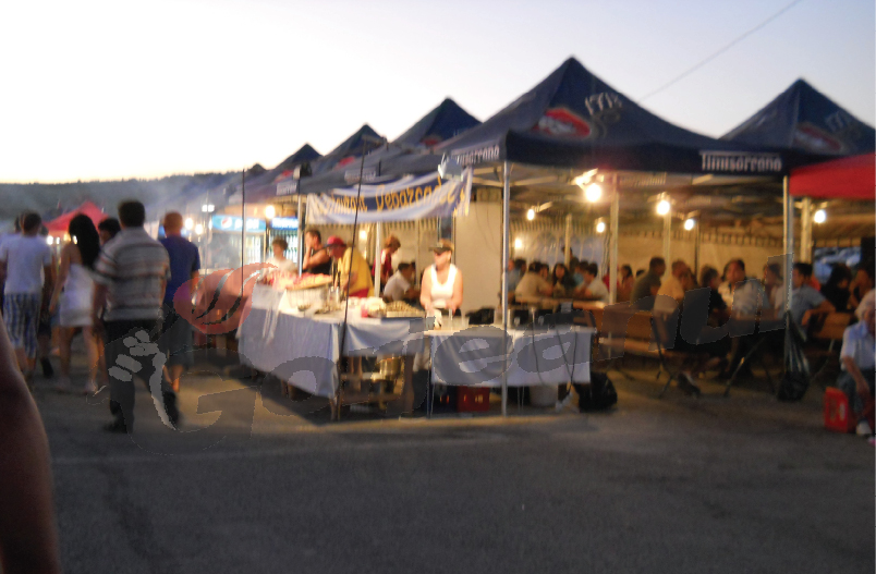 Insuliţa, luată cu asalt de participanţii la „Zilele Municipiului Târgu-Jiu”