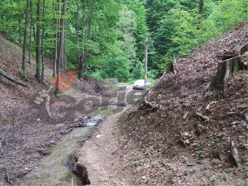 Pârâul de pe valea Tismanei