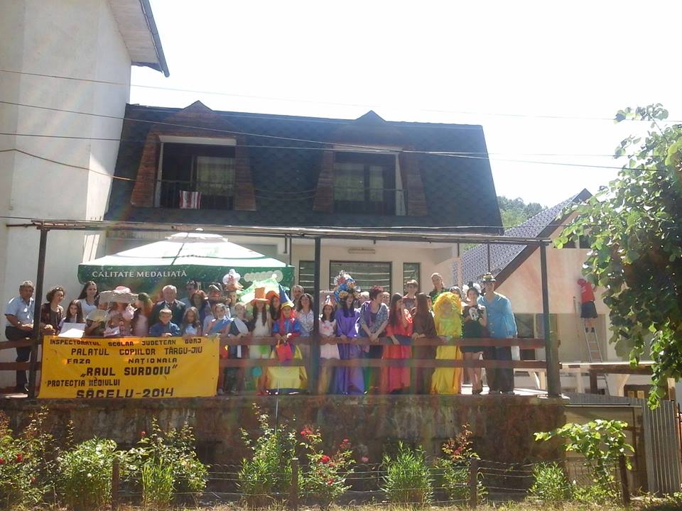 12 premii I pentru elevii gorjeni la Concursul Naţional „Memorial Raul Surdoiu”