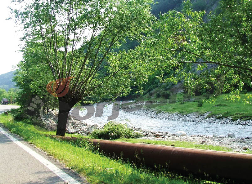 Şuşiţa Verde a redevenit curată