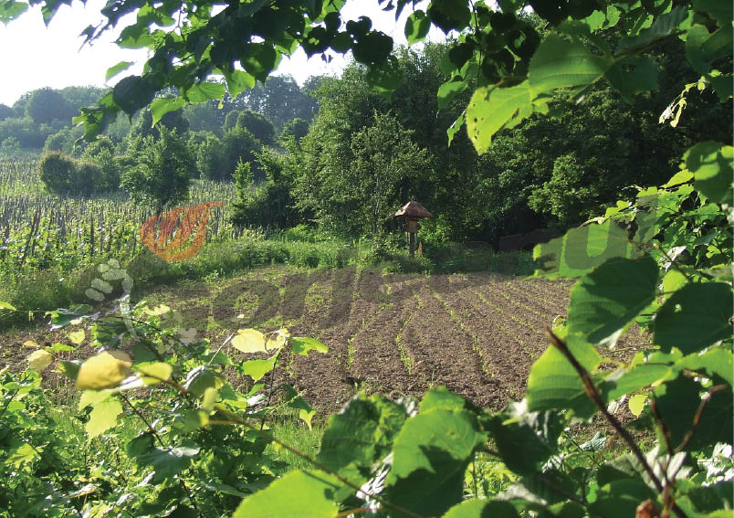 Perimetre “amendate”, ecologizate de autorităţi