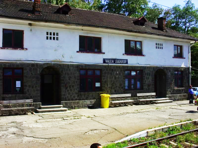 Lovită mortal de tren