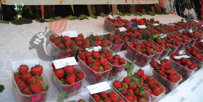 Sărbătoarea Căpşunilor, duminică la Polovragi