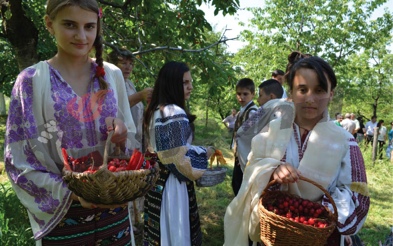„La cireşe”, povestiri de Turcineşti