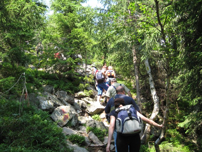 Festivalul Drumeţii Montane 2014, cât mai aproape de start