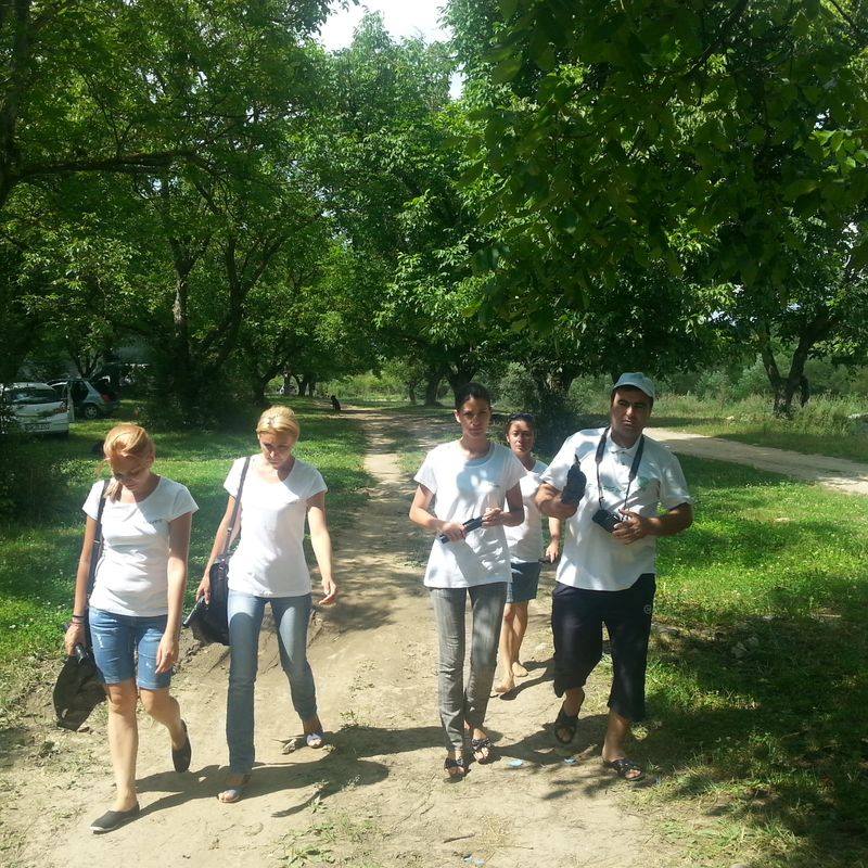 Zona de picnic din Dumbrava Drăgoieni, vandalizată