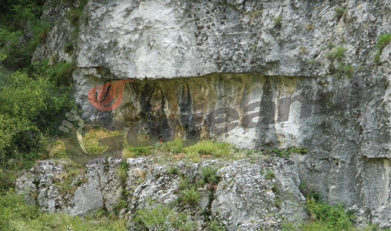 Minune pe o stâncă de pe Cheile Sohodolului