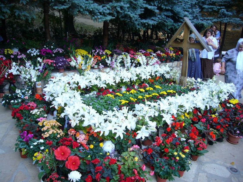 Viaţa mea a fost în mâinile Părintelui Arsenie Boca