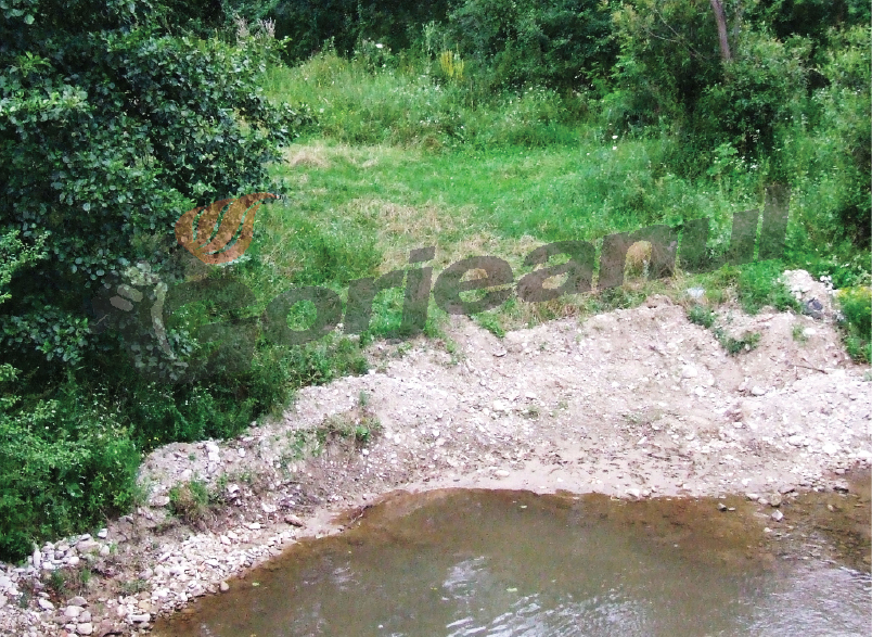 Autorităţile din Peştişani au făcut curăţenie la Brădiceni