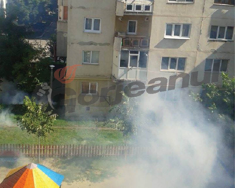 Luptă împotriva ţânţarilor, în cartierele din Târgu-Jiu