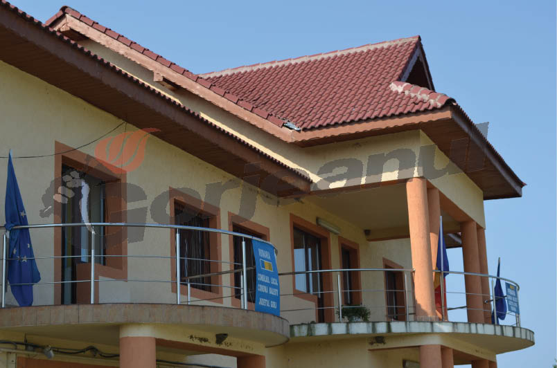 Primăria Băleşti caută secretar