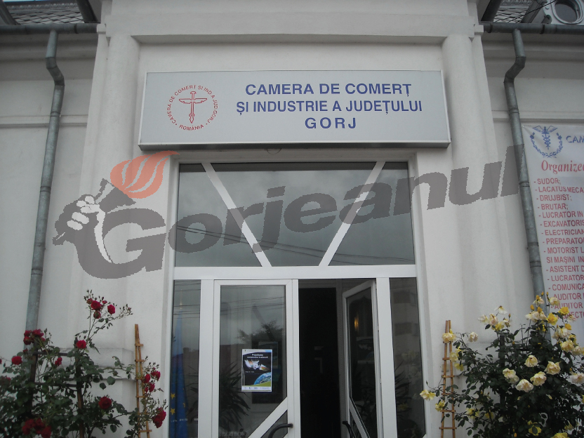 camera de comert facuta de mine
