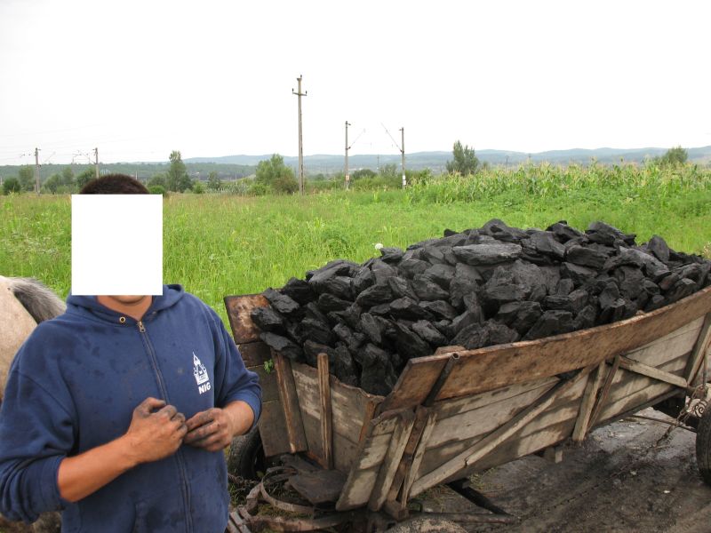 Prins la furat de cărbune cu căruţa